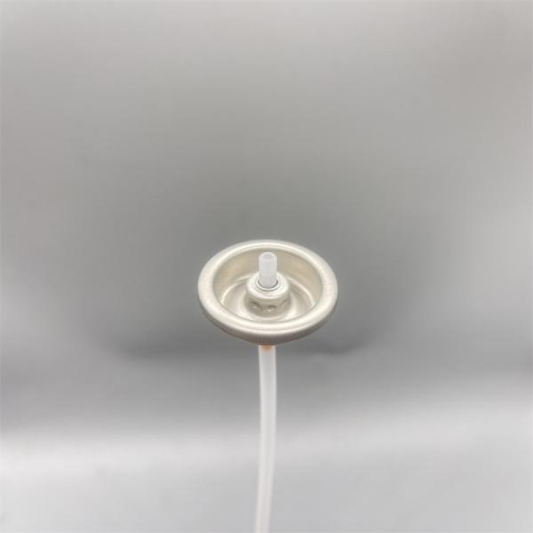 Reliable Leak-Proof Facial Water Spray Valve for Refillable Cosmetic Bottles and Sustainable Brands with Secure Sealing Technology