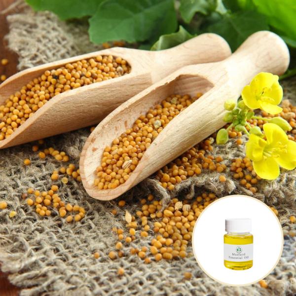 CAS 8007 40 7 Organic Mustard Seed Essential Oil Cosmetic Grade