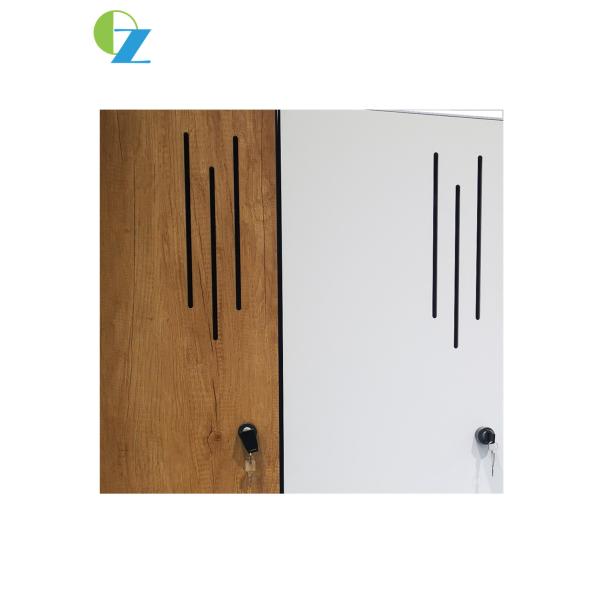 Двери формы дизайна z Elegent дуб деревянного материального шкафчика новой белый & естественный