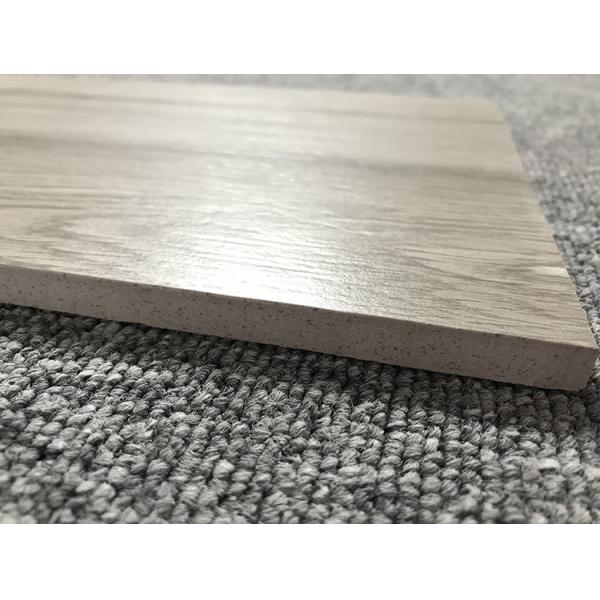 Древесина настила современного фарфора кафельная выглядит полным садом тела