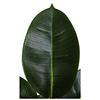 1.3m Potted Oak Tree Bonsai Faux House Plants For Home Decor Artificial Rubber Ficus Greenery Home Sets
