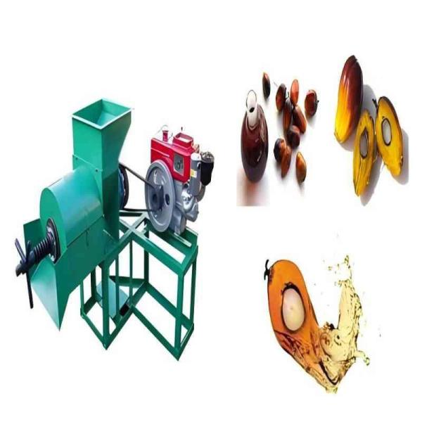 Complete Cooking Oil Refinery Machine High-Efficiency Palm Oil Processing Machine