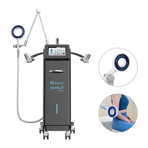 2 In 1 Multifunction 6D 10D Laser Slimming Machine Magnetica Physical Therapy