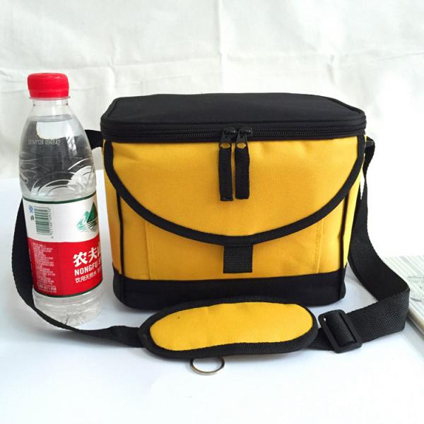 Insulated Soft Cooler Picnic Lunch Box Tote Bottle Bag Freezer Tote promotional bag gift