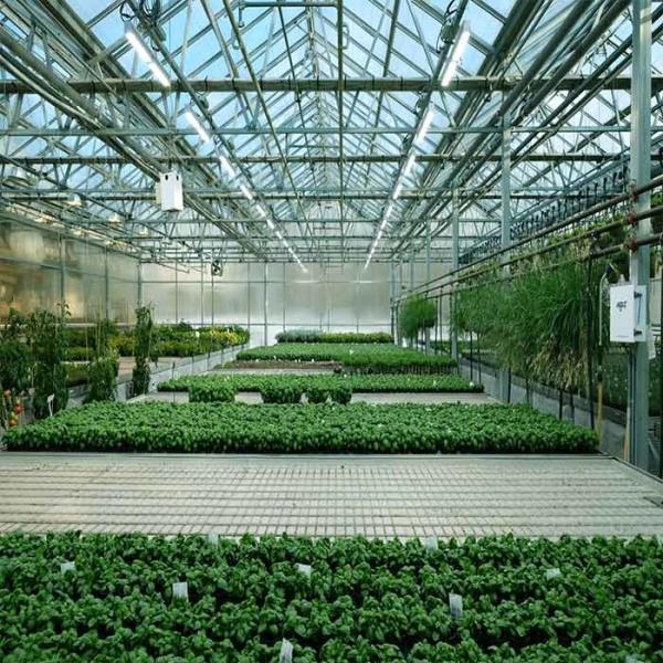 A Frame Outdoor Irrigation Agricultural Solar Powered Greenhouse