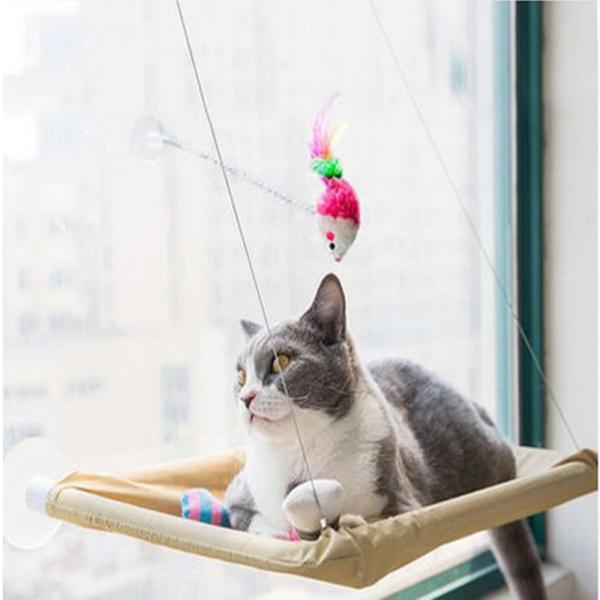 A cama de suspensão confortável bonito do animal de estimação que carrega a janela 20kg montou a cama do gato