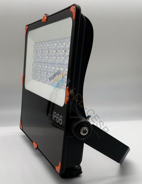 IP66 LED Security Flood Light