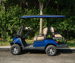 Custom Electric Golf Carts Electric Cart Golf with Front Disc and Rear Drum Brake System