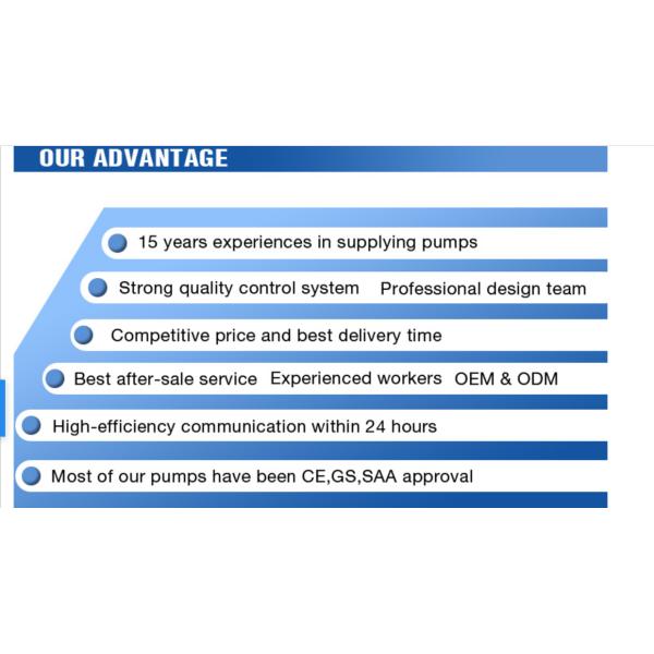 Собственная личность AC230V 370W 40l/Min воспламеняя дизельную портативную машинку насоса передачи