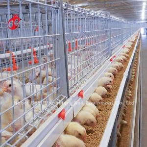 Galvanized A Or H Type Broiler Chicken Cage For One Day Old To Adult Chicken