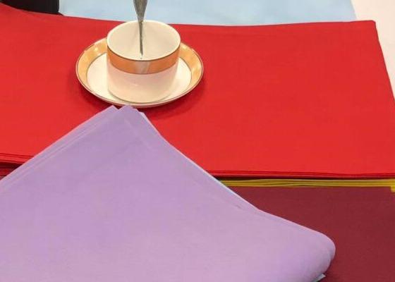 De Spunbonded tissu de textile tissé non/petit pain non tissé de polypropylène pour la couverture de Tableau