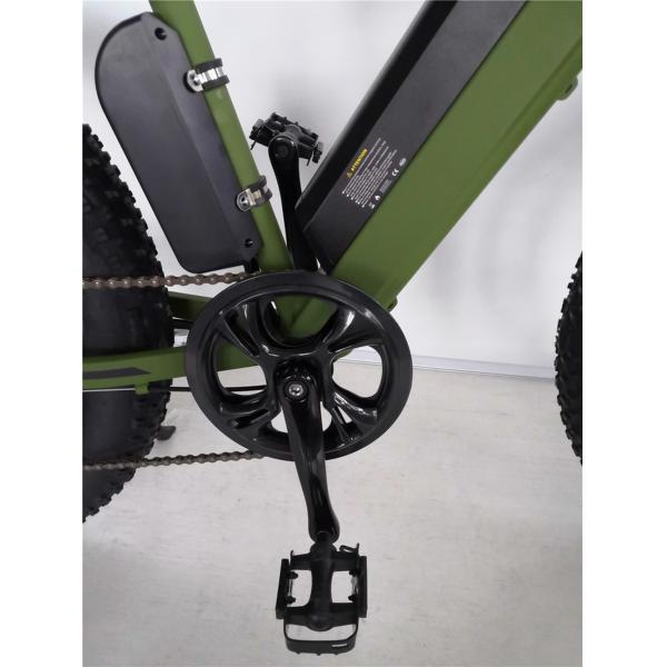 16.7 Ah Battery Capacity Electric Mountain Bicycle for Adults 26 Inch Fat Tyre Ebike