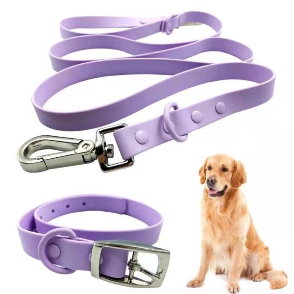 Collier pour chien en PVC imperméable à l'eau et laisse