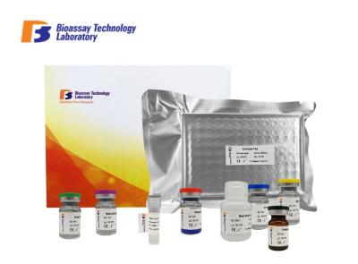 Laboratory Research Porcine ELISA Kit Beta - Endorphin Receptor B - EPR