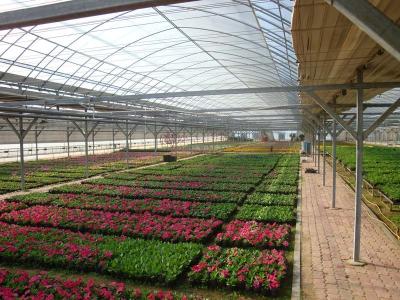 Exploração agrícola de exploração avícola colorida da chapa de aço com PVC abaixo do sistema de drenagem da tubulação
