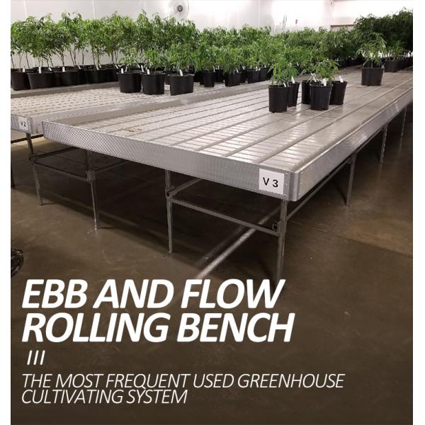 Дополнительное оборудование для теплиц растений 4'×8' 4'×10' Ebb And Flow Rolling Bench