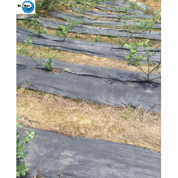High Quality UV Treated Gardening Flower Weed Control Ground Cover Woven Fabric