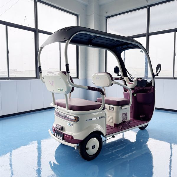 800W Sine Wave Motor All-Weather Canopy Electric Tricycle with Hydraulic Suspension