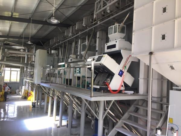 50T/D Fully Automatic Rice Mill On Sale/Rice Mill Machinery Price/Rice Milling Equipment
