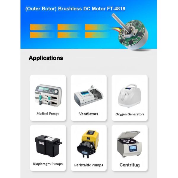 High Torque Brushless DC Electric Motor 12V 24 Volt Brushless Motor Customized