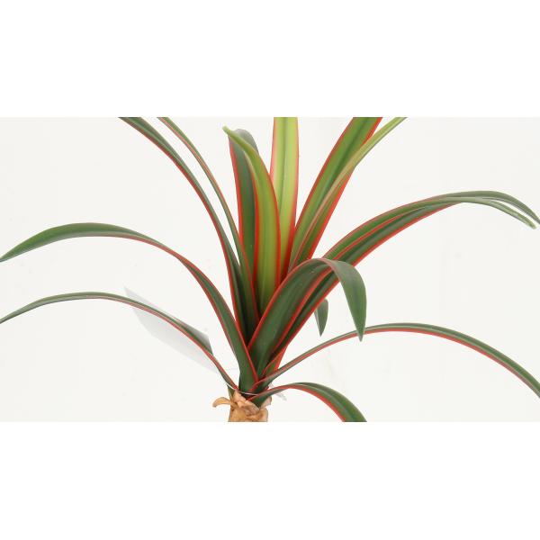 43 CM 54 CM Artificial Dragon Artificial Bonsai Plants Decoration And Landscape