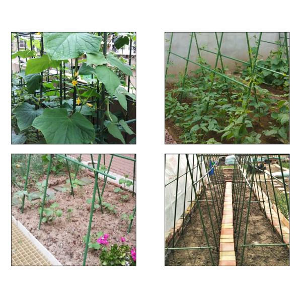 plastic coated steel tomato stakes with antiskid surface and pointed end