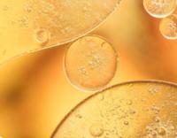 Immobilized Lipase Healthy Food Additives For Baking Alcohol Beer Vinegar