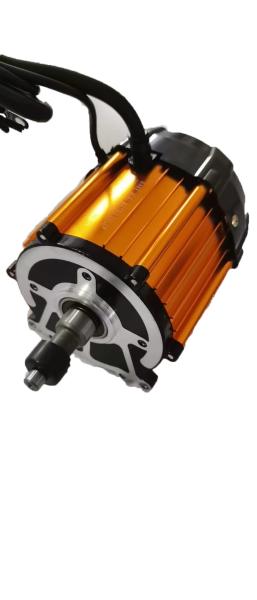 Tamaño 30mm-110mm Potencia 10w-2000w personalizable cepillado sin cepillo PM motor eléctrico 12vdc 24vdc 36vdc 48vdc 60vd