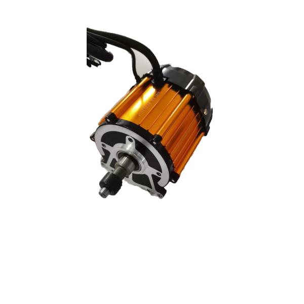 Tamaño 30mm-110mm Potencia 10w-2000w personalizable cepillado sin cepillo PM motor eléctrico 12vdc 24vdc 36vdc 48vdc 60vd
