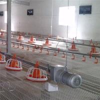 Linha de alimentação de frango para beber 1kg-20kg para frangos de corte alimentador automático