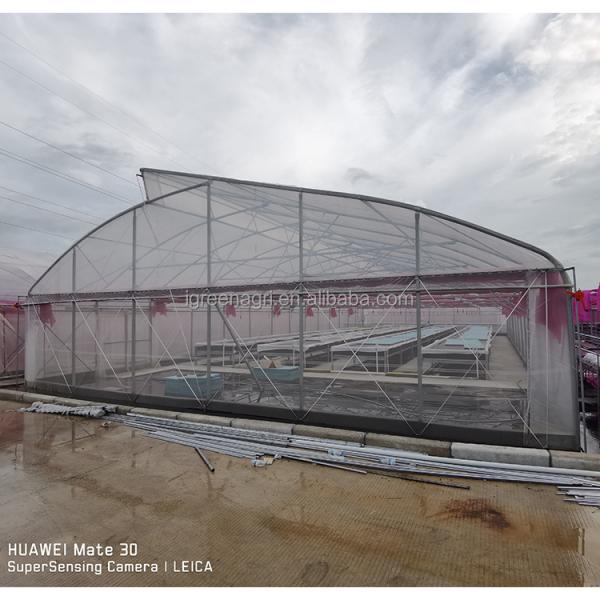 IGreen Plastic Tropical Green House Tropical Complete Green House