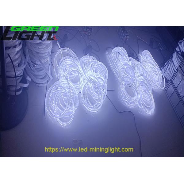 1100 Lumen/M Flexible LED Strip Lights 24V Underground Silicone 5050 RGB Color Changing LED Strip Lights for Outdoor