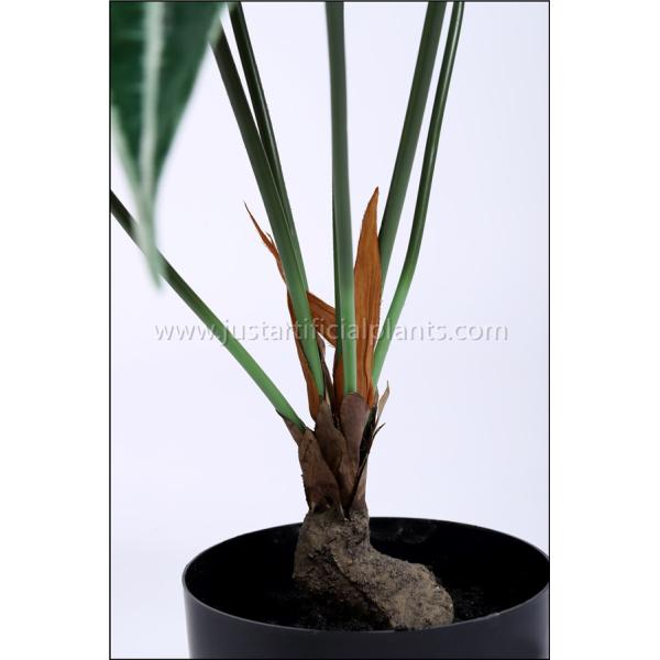 Дом Арум итальянца Фаукс искусственный засаживает дружелюбное живых зеленых листьев эко-