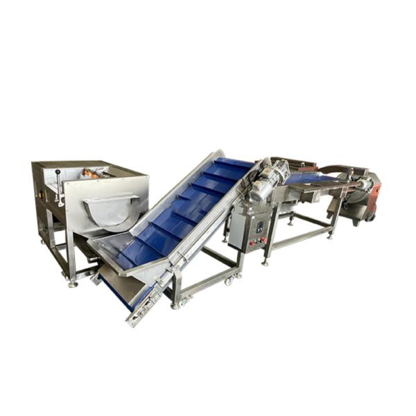Machines électriques pour les collations alimentaires à haute productivité
