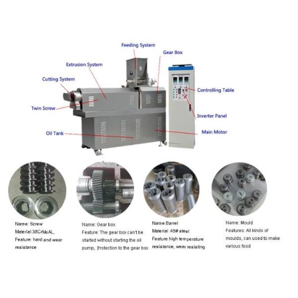 Animal Feed 200kg/H Dog Food Kibble Production Equipment
