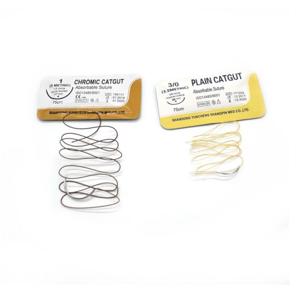 Absorbable Consumable Medical Supplies