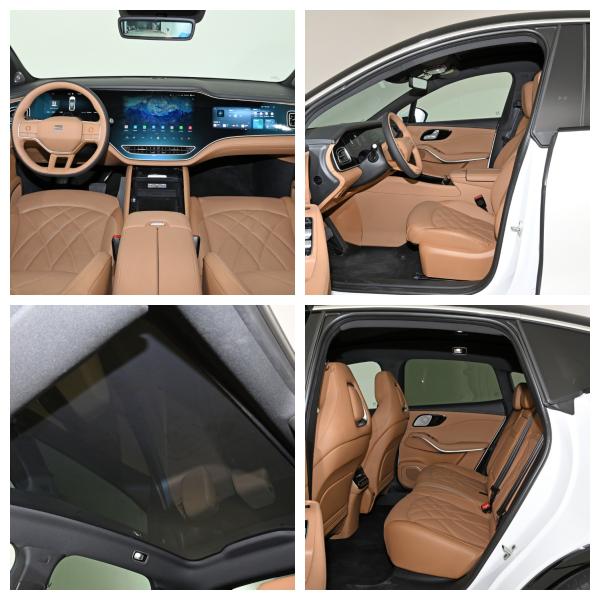 Удобный чистый EV Rising Auto R7 MG S9 9 5 дверей 5 мест SUV EV Car Made In China