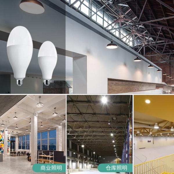 Bowling Indoor Led Light Bulbs 20w 30w 40w 50w High Power
