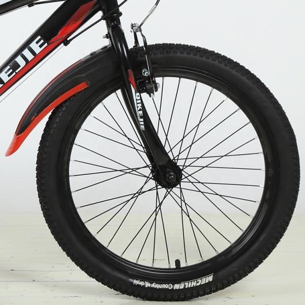 Thicken Cross-Country Tire 20 inch Kids' Bike Popular Colour Matching Bike Velo Enfants Children Bicycles Cycle for Boys