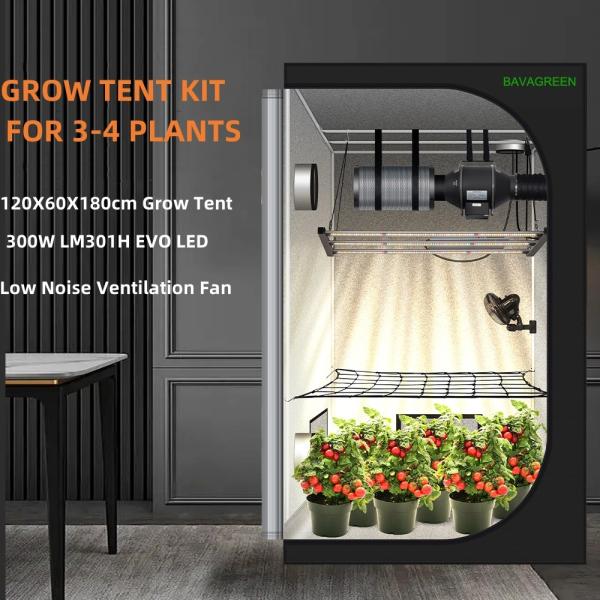 3 Plants Growzelt Complete Kit 300W Samsung LM301H EVO Pflanzenlampe Led Vollspektrum For 60x120cm Grow Box Se