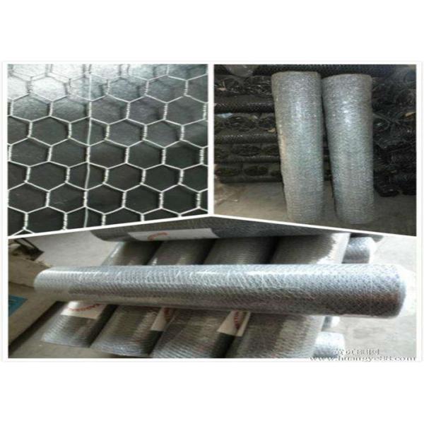 green chicken wire/ chicken wire for sale/hex wire mesh/hexagonal wire netting/ poultry wire/chicken netting