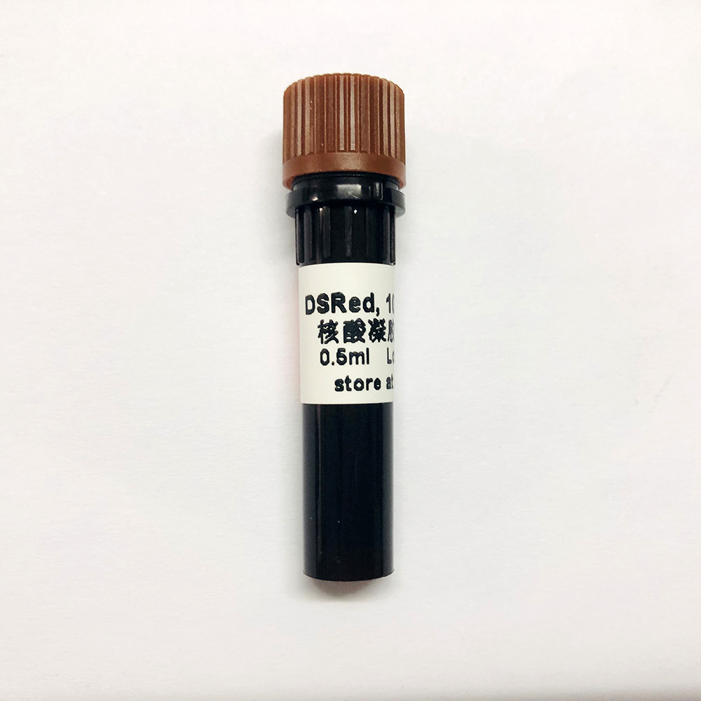 Стабилизированный не токсический кислотный краситель пятна 10000x 0.5ml геля DSRed нуклеиновый кисловочный дневной нуклеиновый