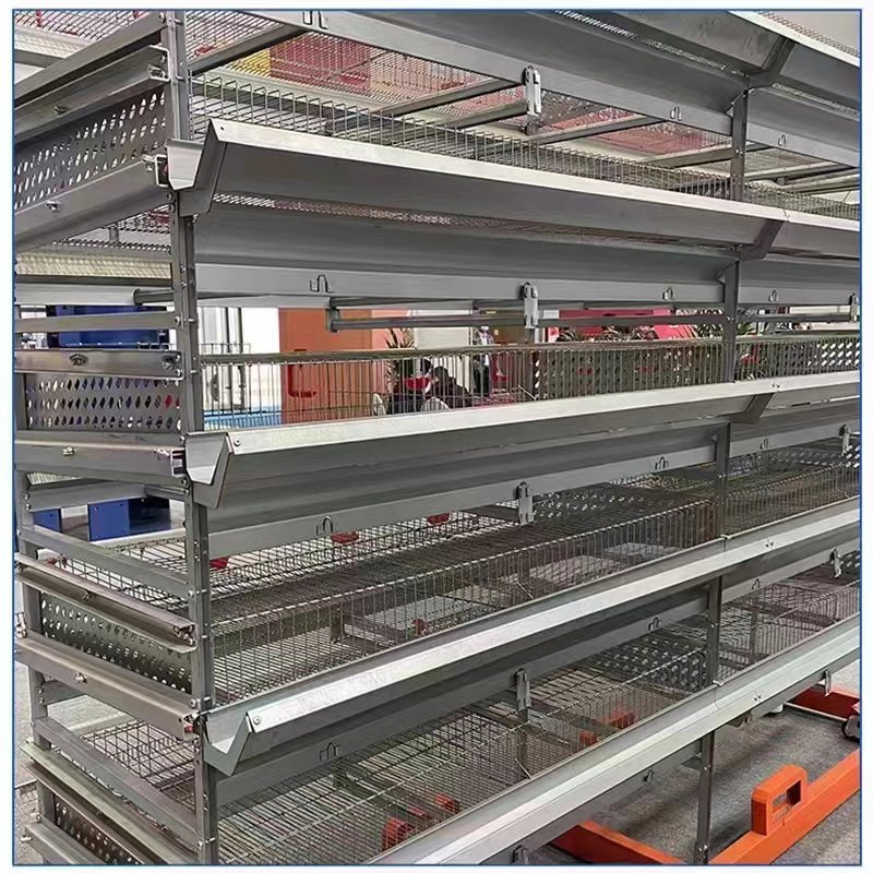 H Type Layer Chicken Cage Poultry Farming Equipment Large Capacity 3 4 5 6 8 Tiers