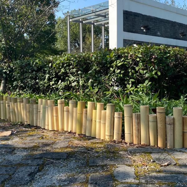 загородка границы тросточки 20x100cm бамбуковая окаймляясь для небольшого балкона сада декоративного
