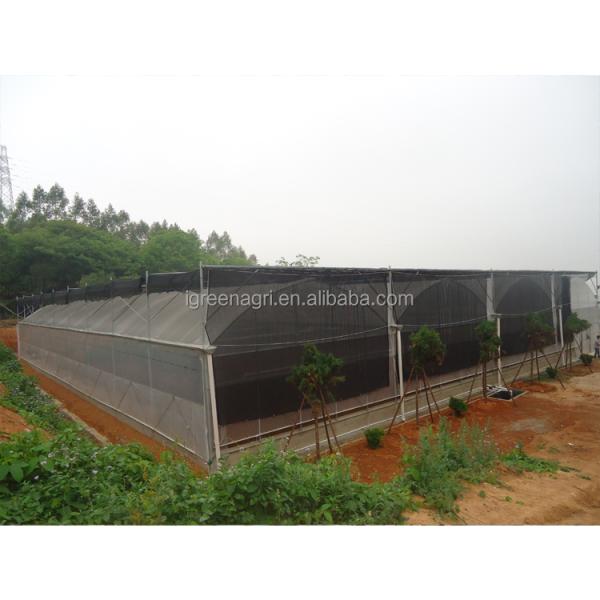 Small Column Reinforced Rod Wind Resistant Vent Window Rain Gutter Single PE Multi Span Film Greenhouse for Vegetable Flower