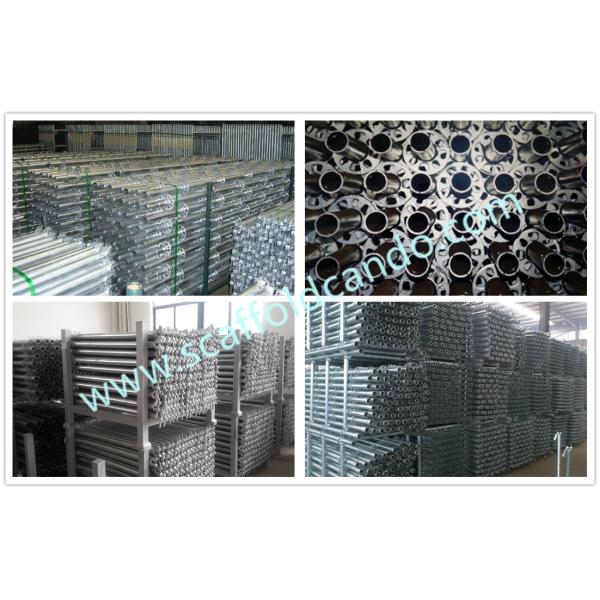 Good quality scaffolding Ringlock standard vertical 48mmOD 500mm 1500mm 2000mm 3000mmL Hot dip galvanized Q235 Q345