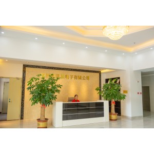 Huizhou Xunzhan Electronics Co., Ltd.