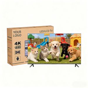 Professional Hotel LED TV with Customizable Interface and Durable Quality