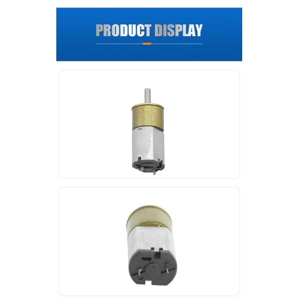 High Quality Mini Slow Speed Motor DC Spur Gear Motor Model FT-16RGM030 for Home Appliance