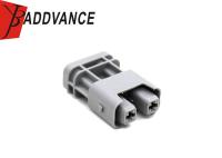 2-1-402 alojamento plástico Gray Color de 2 Pin Female Automotive Electrical Connectors